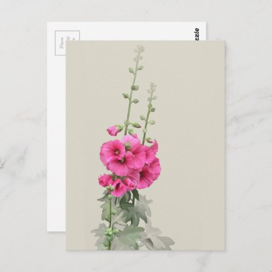 葵 ポストカード (正面/裏面)