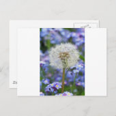 蒲公英の夢が青いワスレナグサの花で ポストカード (正面/裏面)