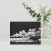 蒸しビソン – はがき (スタンド正面)