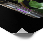 蒸気とバラの花 ポスター (角)