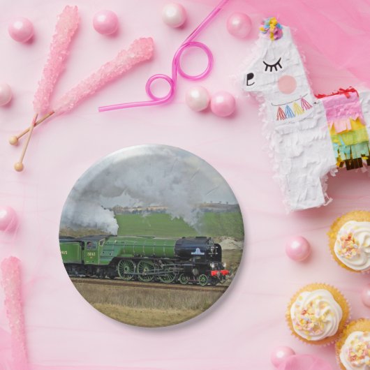 蒸気の列車のプレート ペーパープレート (パーティー)