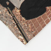 蒸気の列車エンジン機関車、オーストラリア フリースブランケット (角)