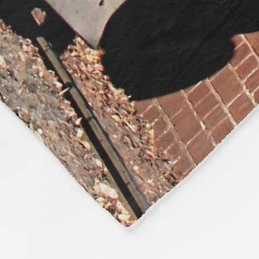 蒸気の列車エンジン機関車、オーストラリア フリースブランケット (角)