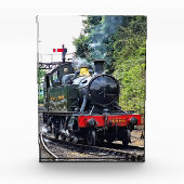 蒸気列車 フォトブロック (正面)