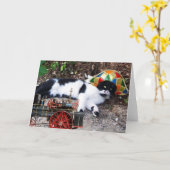 蒸気機関車付きハーレクインハット付き猫 カード (黄色い花)