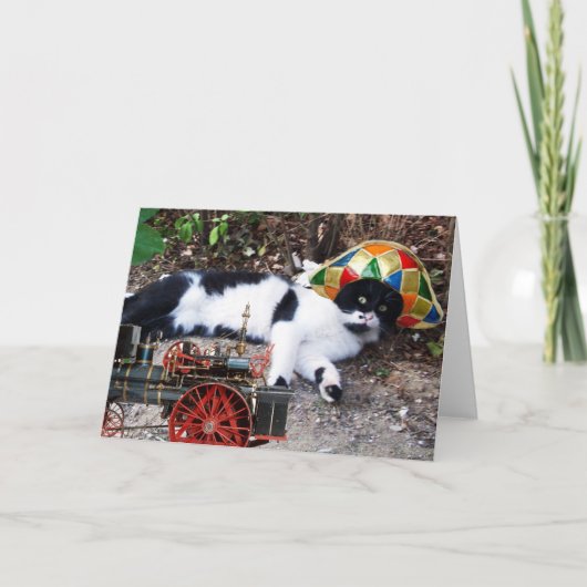 蒸気機関車付きハーレクインハット付き猫 カード (正面)