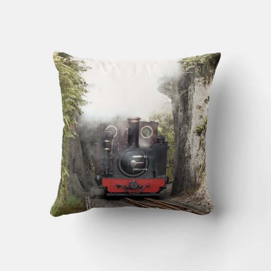 蒸気機関車 クッション (裏面)