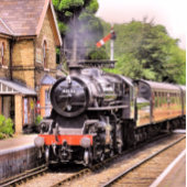 蒸気機関車 スタンダードカクテルナプキン