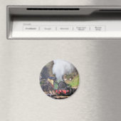 蒸気機関車 マグネット (インサイチュ (食洗機))