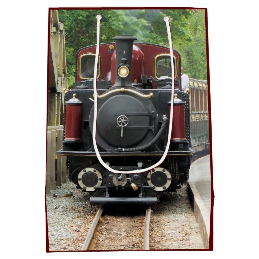 蒸気機関車 ミディアムペーパーバッグ (裏面)