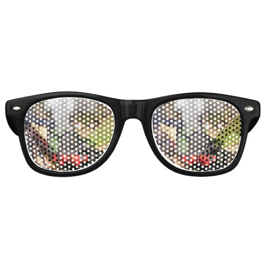 蒸気機関車 レトロサングラス (正面)