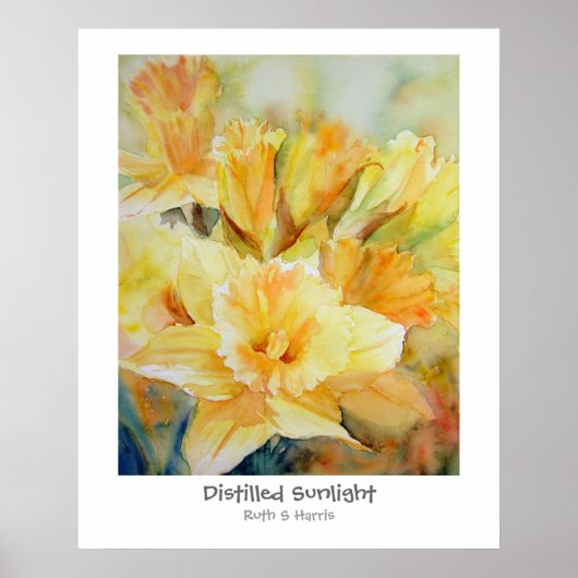 蒸留日光 ポスター (正面)