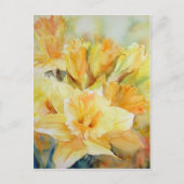 蒸留日光 ポストカード (正面)