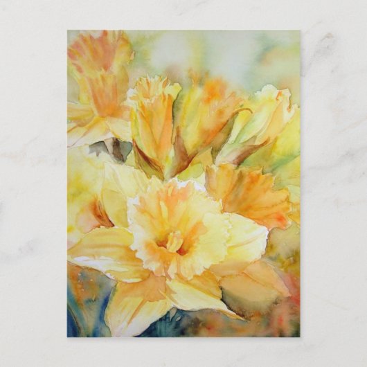 蒸留日光 ポストカード (正面)