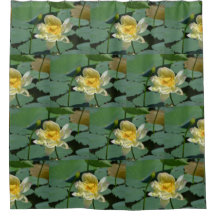 蓮かわいらし花