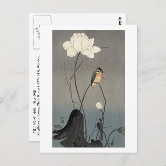 蓮にカワセミ, 古邨 Kingfisher on Lotus, Koson, Ukiyo-e ポストカード (正面/裏面)