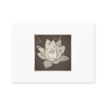 蓮の名刺