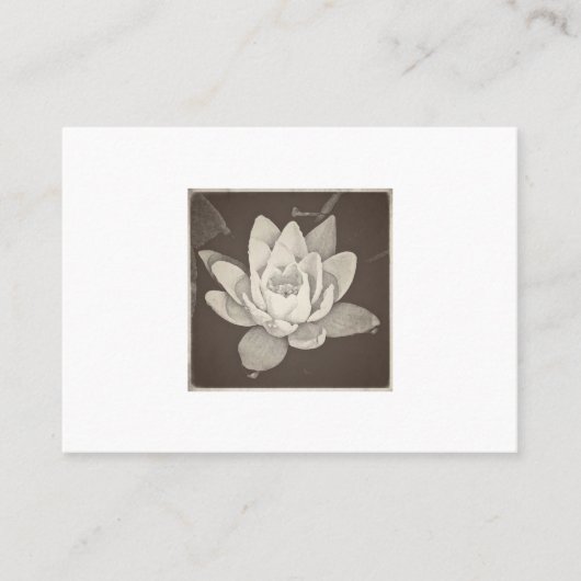 蓮の名刺 名刺 (正面)