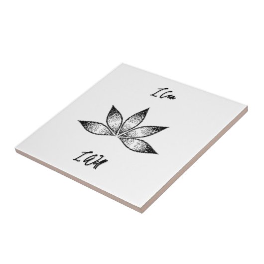 蓮の固感動的定ができる タイル (側面)