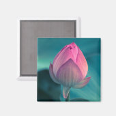蓮の水百合花 マグネット (正面/裏面)