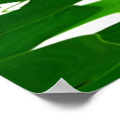 蓮の緑の水の禅の静かな平和の美しい ポスター (角)