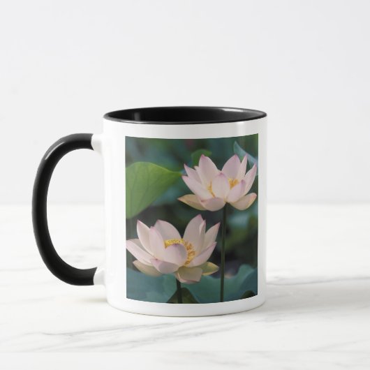 蓮の花が咲く、中国 マグカップ (左)