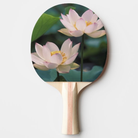 蓮の花が咲く、中国 卓球ラケット (正面)