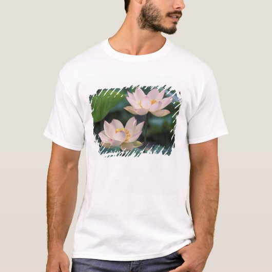 蓮の花が咲く、中国 Tシャツ (正面)