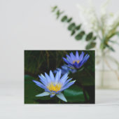 蓮の花とその意味 ポストカード (スタンド正面)
