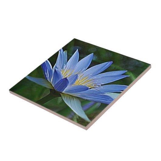 蓮の花と意味 タイル (側面)