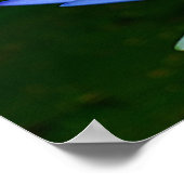 蓮の花と意味 ポスター (角)