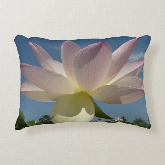 蓮の花と青の空II アクセントクッション (正面)