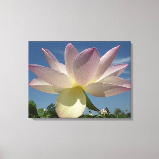 蓮の花と青の空II キャンバスプリント (正面)