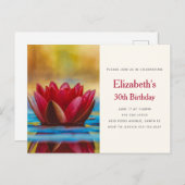 蓮の花のきれいな写真 プール 誕生日 ポストカード (正面/裏面)