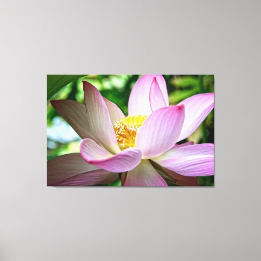 蓮の花のクローズアップ写真 キャンバスプリント (正面)