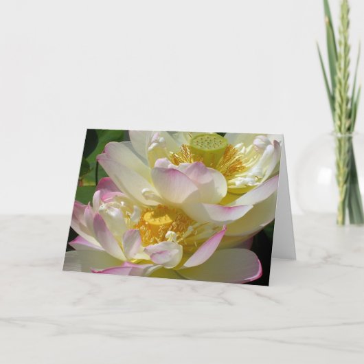 蓮の花のデュエット カード (正面)