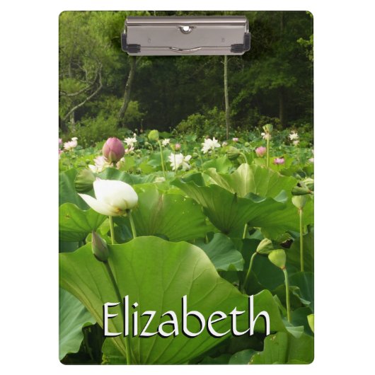 蓮の花のフィールド夏の庭 クリップボード (正面)