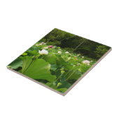 蓮の花のフィールド夏の庭 タイル (側面)