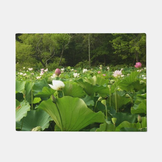 蓮の花のフィールド夏の庭 ドアマット (正面)