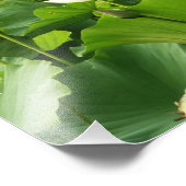 蓮の花のフィールド夏の庭 フォトプリント (角)