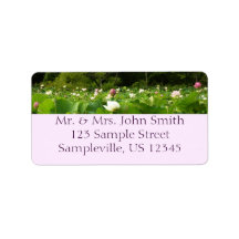 蓮の花のフィールド夏の庭