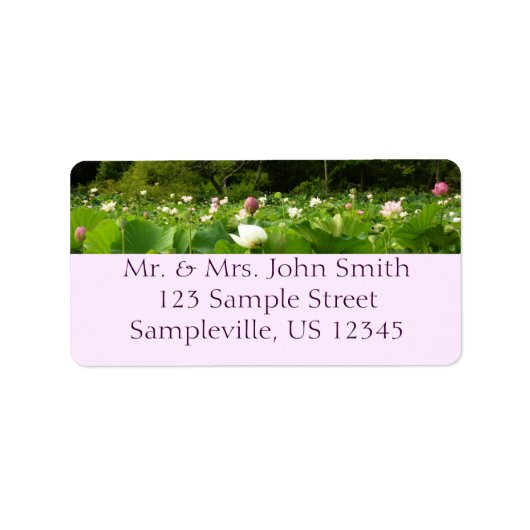 蓮の花のフィールド夏の庭 ラベル (正面)