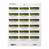 蓮の花のフィールド夏の庭 ラベル (フルシート)