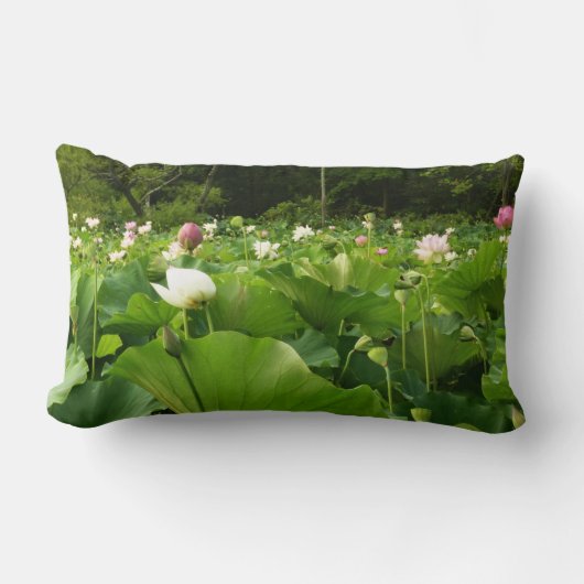 蓮の花のフィールド夏の庭 ランバークッション (正面)