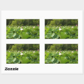 蓮の花のフィールド夏の庭 長方形シール (シート)