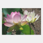 蓮の花のペア I ラッピングペーパーシート (正面)