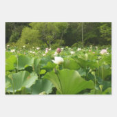 蓮の花のペア I ラッピングペーパーシート (正面3)