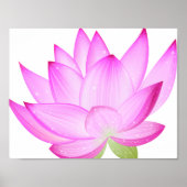 蓮の花のポスター ポスター (正面)