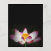 蓮の花の写真素晴らしヨガオムギフト！ チラシ (正面)