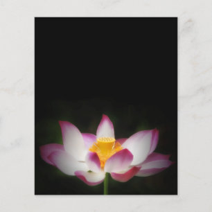 蓮の花の写真素晴らしヨガオムギフト！ チラシ